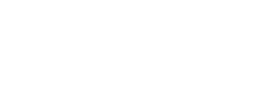 TNT Security Solutions logo - White